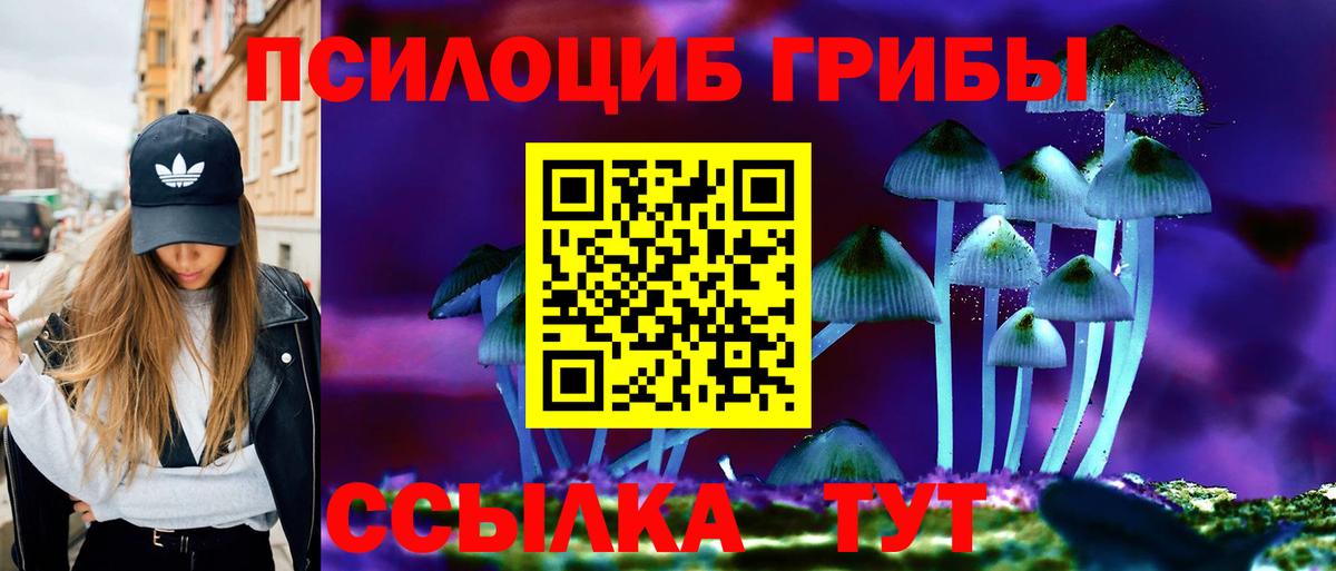 Галлюциногенные грибы ЛСД Кыштым