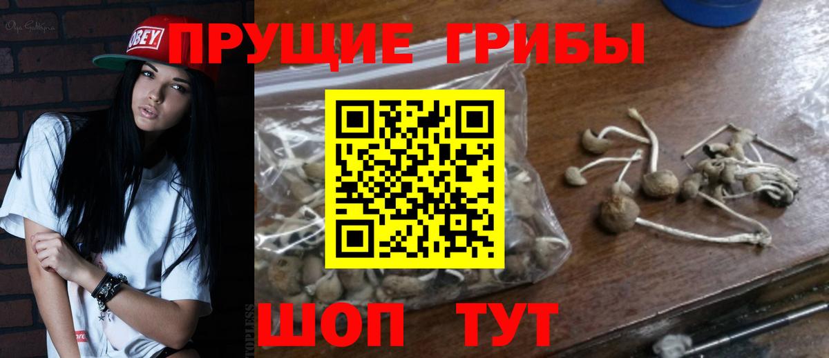 Псилоцибиновые грибы GOLDEN TEACHER  Галлюциногенные грибы Magic Shrooms  Кыштым  где можно купить   Вход с VPN 